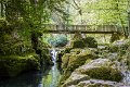 Tollymore Forest Park Newcastle Co Down (6)
